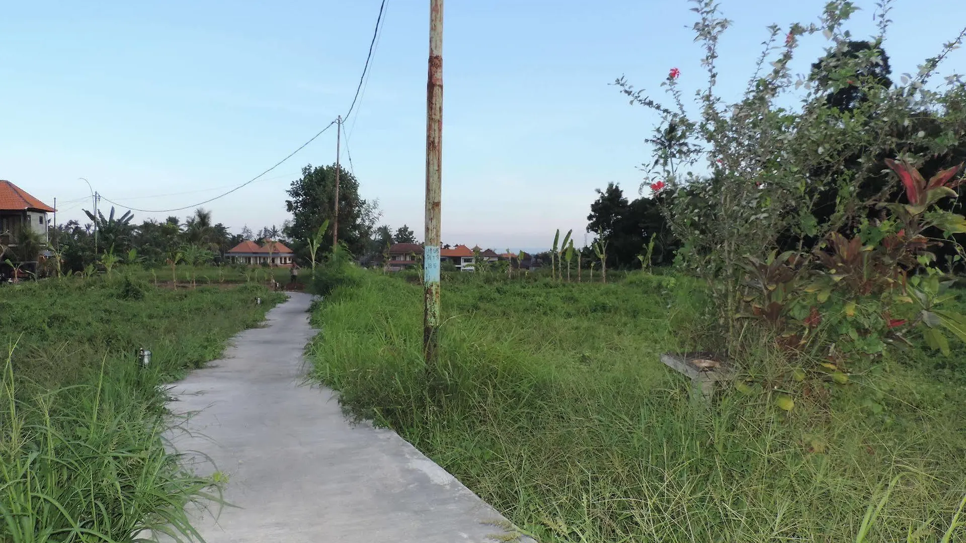 Duana'S Homestay Ubud 0*,