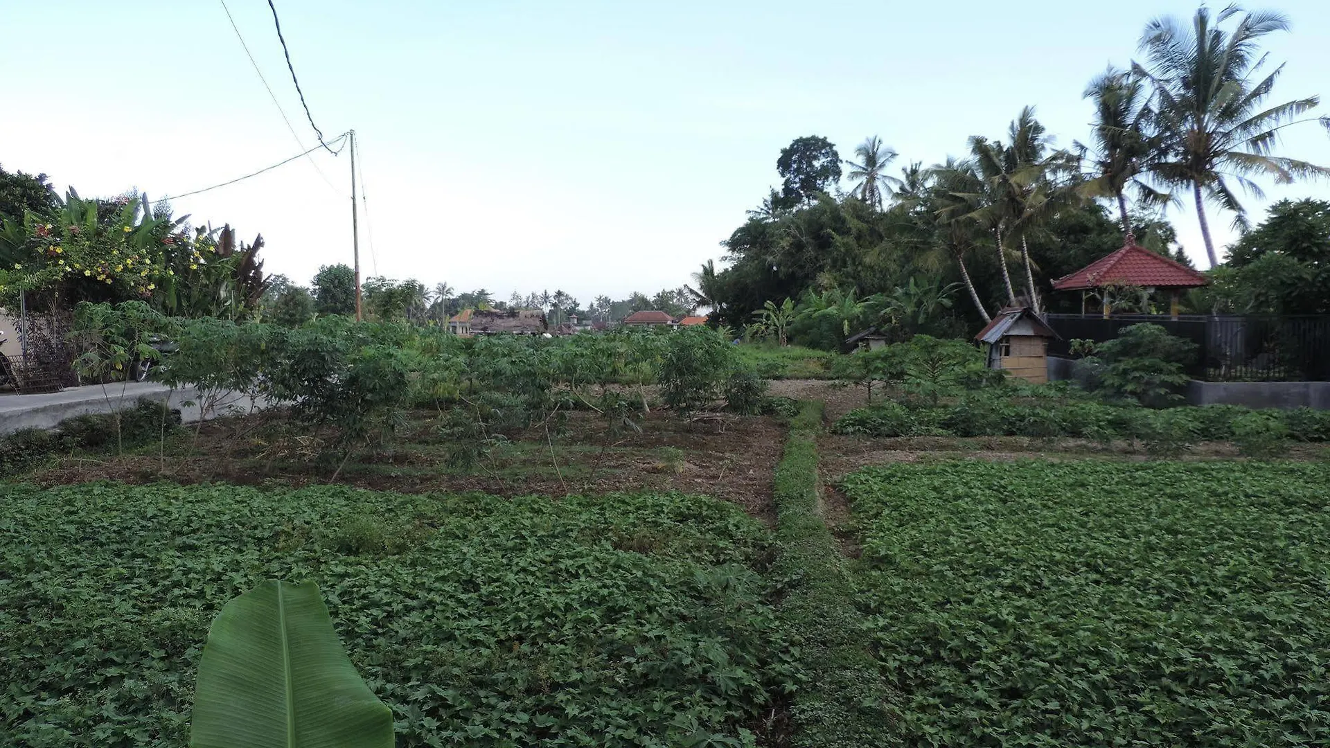 Duana'S Homestay Ubud  Holiday park Ubud (Bali)